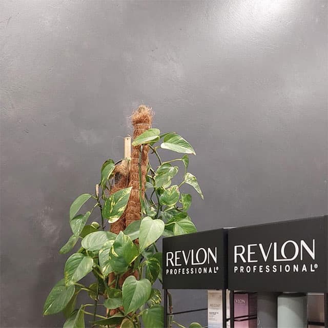 Especialistas en alta decoración en A Coruña