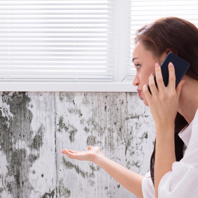 Tratamos humedades y condensaciones